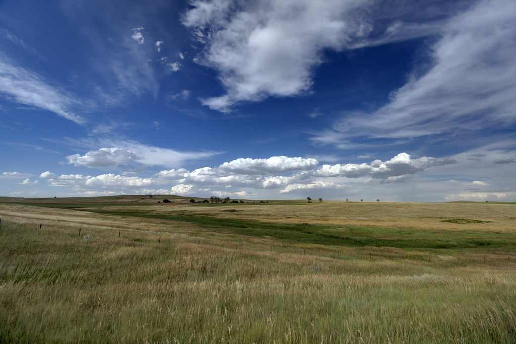 grasslands