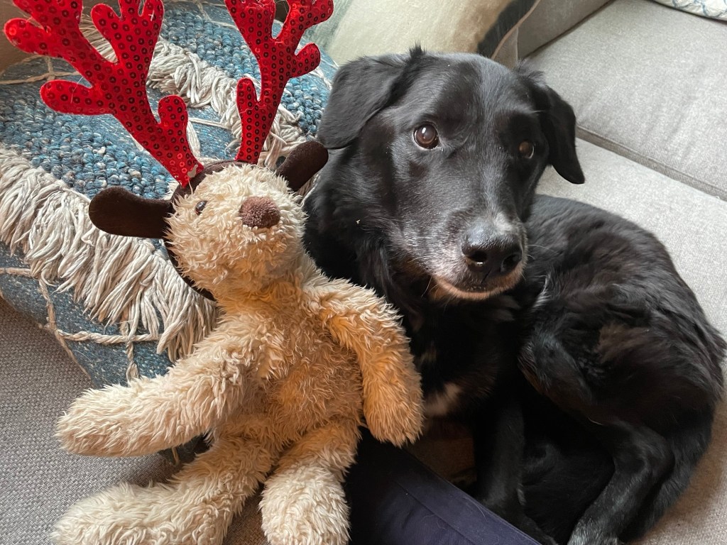 Mad Skills and&nbsp;Nuance