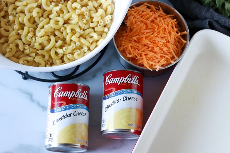 Cheese Soup The Magical&nbsp;Elixir